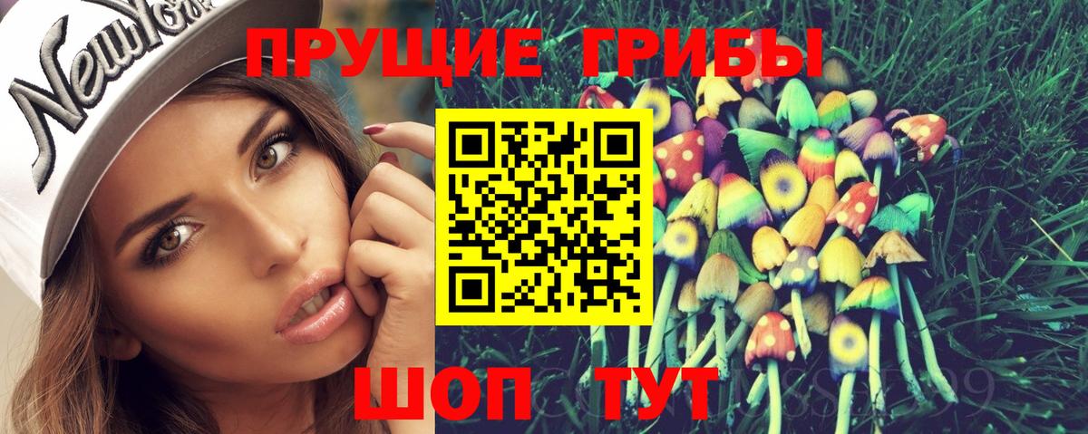 Павловский Посад  Галлюциногенные грибы Psilocybine cubensis  Вход с VPN 