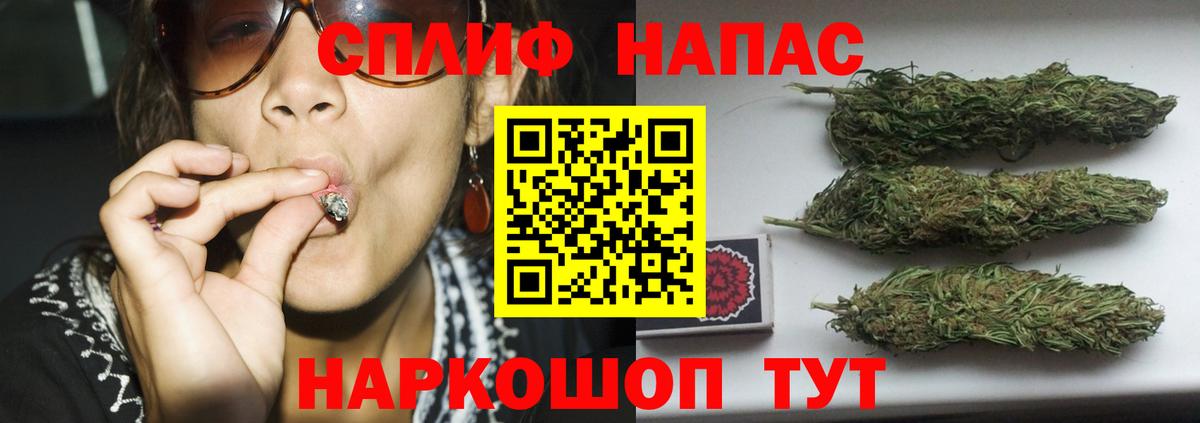 Марихуана планчик Павловский Посад